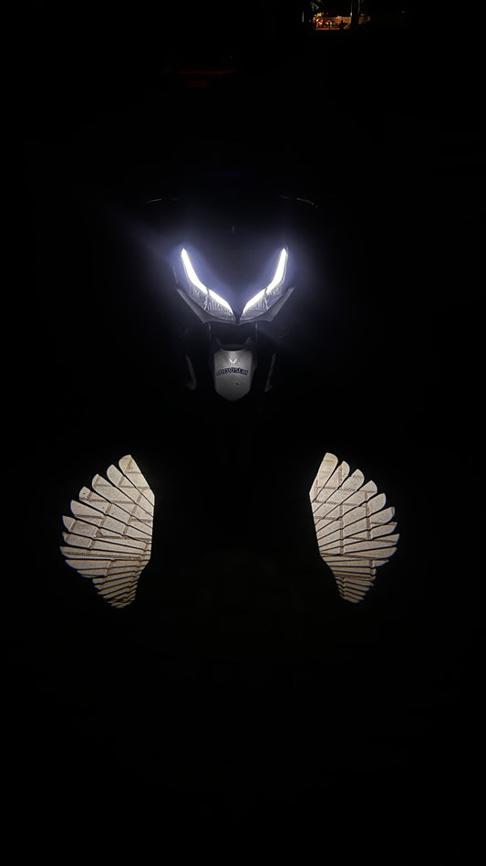 Angel Wings Lights