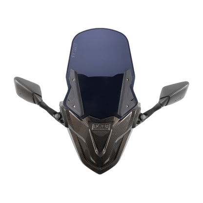 Flash Performance CARBON FIBRE FINISH FORZA KIT FOR SUZUKI BURGMAN STREET 125 (STD/EX/BT)