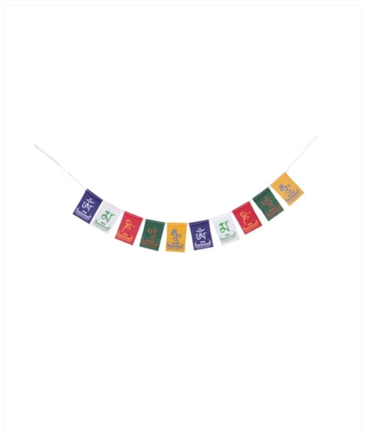 Ladakh Prayer Flag